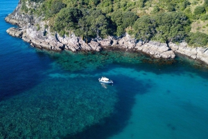 Whitianga : sortie en bateau à fond transparent de 2 heures