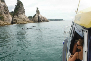 Whitianga : sortie en bateau à fond transparent de 2 heures