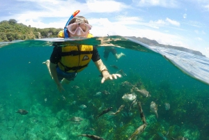 Whitianga : sortie en bateau à fond transparent de 2 heures