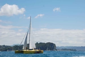Whitianga: Segeltörn zur Cathedral Cove