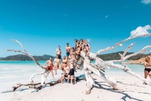 Whitsunday Islands: 3 dage og 2 nætter med sejlbådseventyr