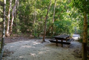Ilhas Whitsunday: Traslado para o acampamento em Whitehaven Beach