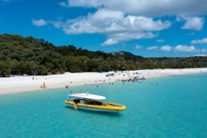 Whitsunday: Whitsundayn saarikierros snorklauksella ja lounaalla.