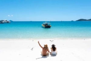 Whitsunday: Excursão às Ilhas Whitsunday com mergulho com snorkel e almoço