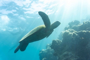 Whitsundays: 2-Day, 2-Night Maxi Yacht Sailing Adventure