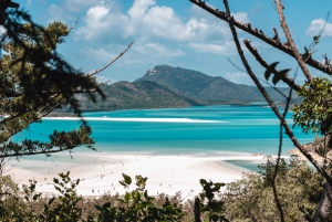 Whitsundays: 2-Day, 2-Night Maxi Yacht Sailing Adventure