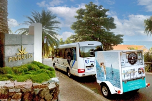 Whitsundays: Flughafen-Transfer von/nach Airlie Beach