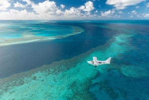 Whitsundays : Ocean Rafting Fly Rafting Tour avec plongée en apnée