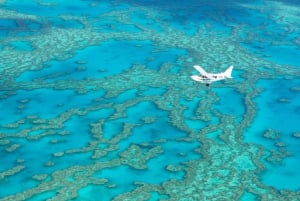 Whitsundays: Passeio de jangada pelo oceano com mergulho com snorkel