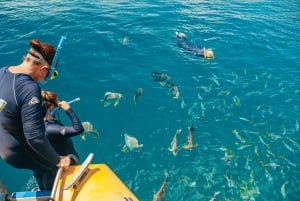 Passeio de rafting em Whitsundays: Mergulho com snorkel, caminhada e Whitehaven