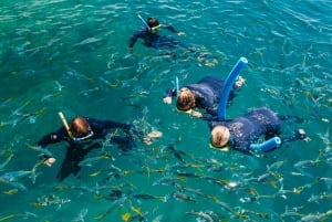 Whitsundays Ocean Rafting Tour: Whitehaven: Snorklaus, Kävely & Whitehaven