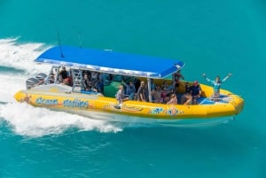 Whitsundays: Ocean Rafting Tour with Snorkel & Scenic Flight