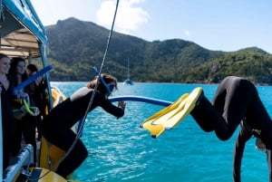 Whitsunday: Excursão às Ilhas Whitsunday com mergulho com snorkel e almoço