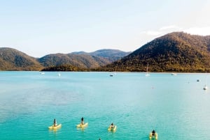 Whitsundays: Opastettu vesipyöräilyretki