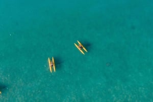 Whitsundays: Opastettu vesipyöräilyretki