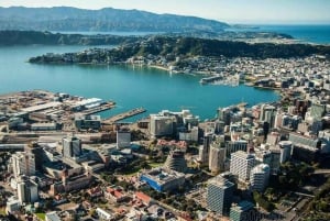 Maravilhas de Wellington: um dia de ícones, vistas e cultura