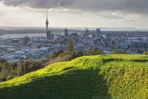 Maravilhas de Wellington: um dia de ícones, vistas e cultura