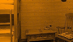 Fort