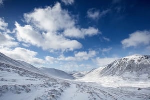 From Inverness: Cairngorms National Park and Whisky Tour