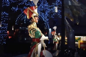 From Manhattan: Dyker Heights Holiday Bus Tour