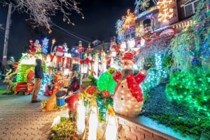From Manhattan: Dyker Heights Holiday Bus Tour