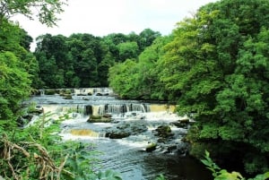 From York: Full-Day Yorkshire Dales Tour