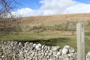 From York: Full-Day Yorkshire Dales Tour