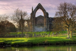 From York: Herriot and Yorkshire Dales Day Trip