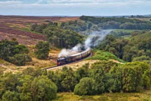 From York: Moors, Whitby, and the Yorkshire Steam Railway