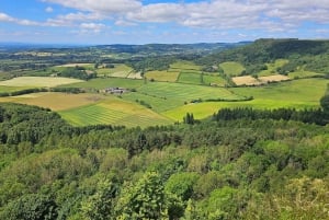 Från York: North Yorkshire Moors, byar och Whitby – dagstur