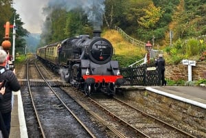 Från York: North Yorkshire Moors, byar och Whitby – dagstur