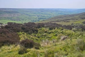 Från York: North Yorkshire Moors, byar och Whitby – dagstur