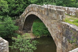 Från York: North Yorkshire Moors, byar och Whitby – dagstur