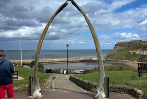 Från York: North Yorkshire Moors, byar och Whitby – dagstur