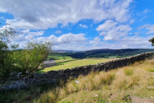 From York: Private Yorkshire Dales National Park Day Trip