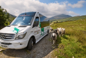 Von York: Die Lake District Tour