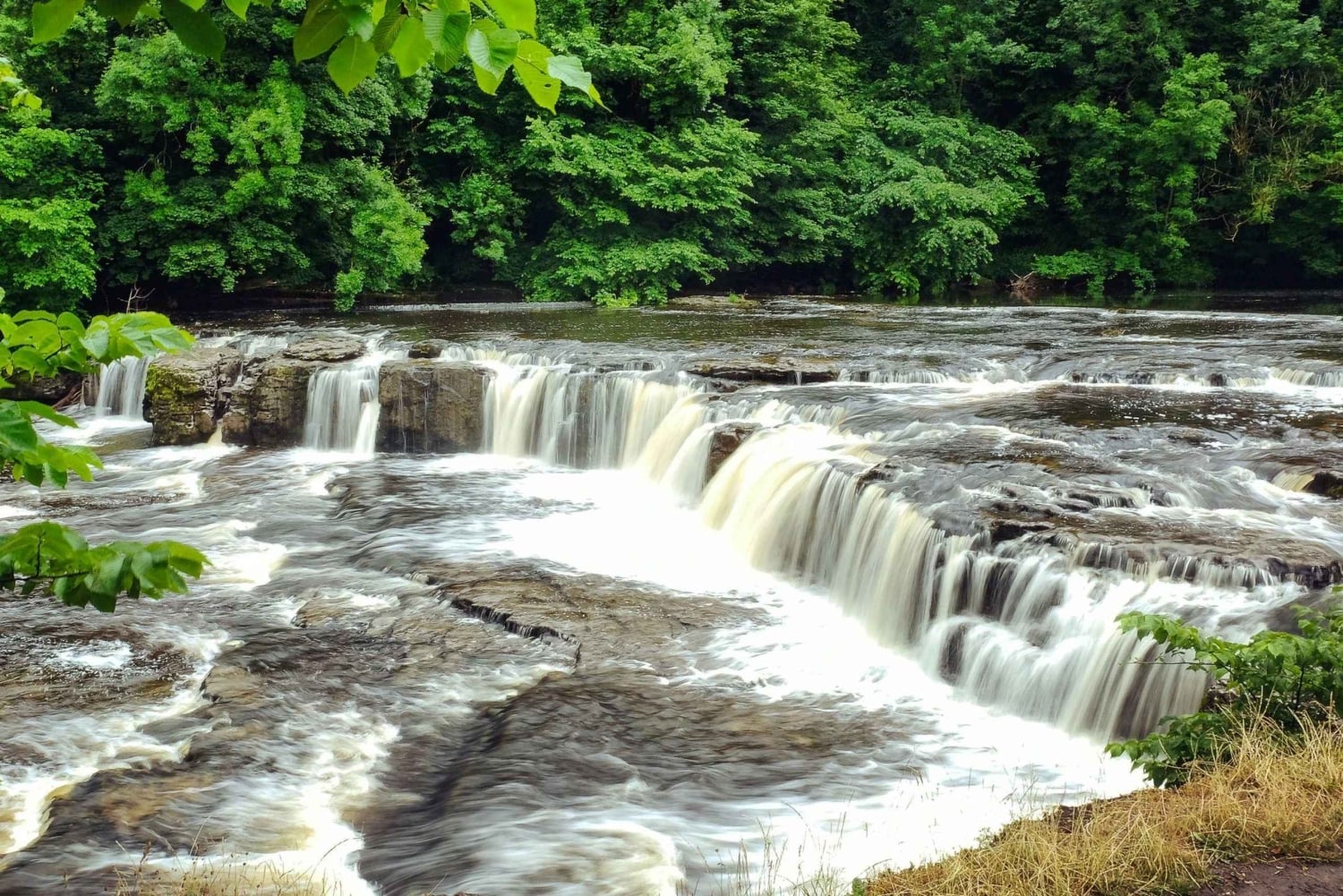 De York: excursão de um dia em pequenos grupos a Yorkshire Dales