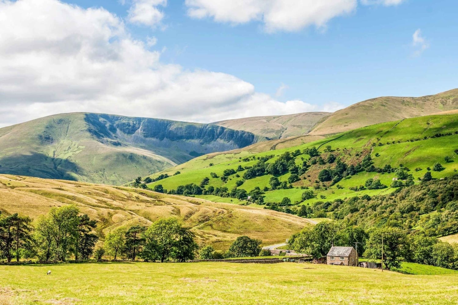 De York: excursão de um dia em pequenos grupos a Yorkshire Dales
