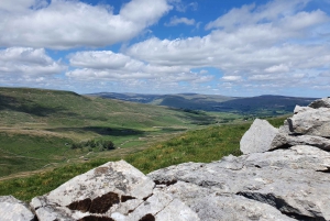 From York: Yorkshire Moor Coast, Cliff & Whitby Private Tour