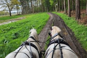 York: Horse Drawn Carriage Ride, Prosecco & Strawberries