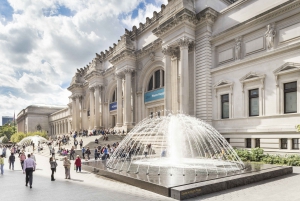 New Metropolitan Museum of Art Skip-the-Line Ticket