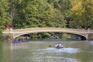 New York City: Central Park Walk-Off/Walk-On Tour