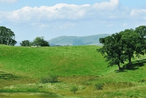 Nidderdale Driving Tour with an APP