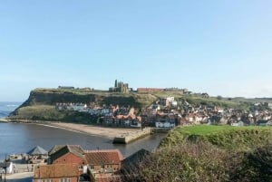 North York Moors and Whitby Tour from York