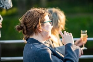 York: 60-minutters 'Happy Hour'-cruise for alle aldre