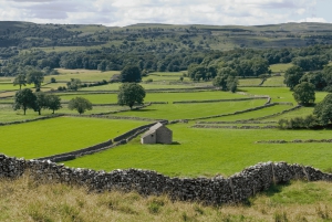 York: Tour 'Tutte le creature grandi e piccole' delle Yorkshire Dales