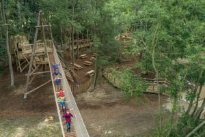 York: Castle Howard Gardens and Grounds Entry Ticket