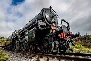 York City Pass: Access 20 Attractions for One Great Price