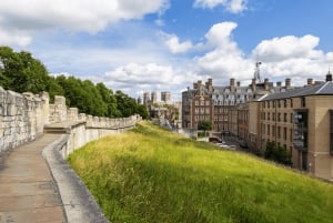 York: Expresspromenad med en lokal guide