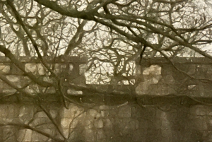 York: Forbidden Chronicles Ghosts and History Tour